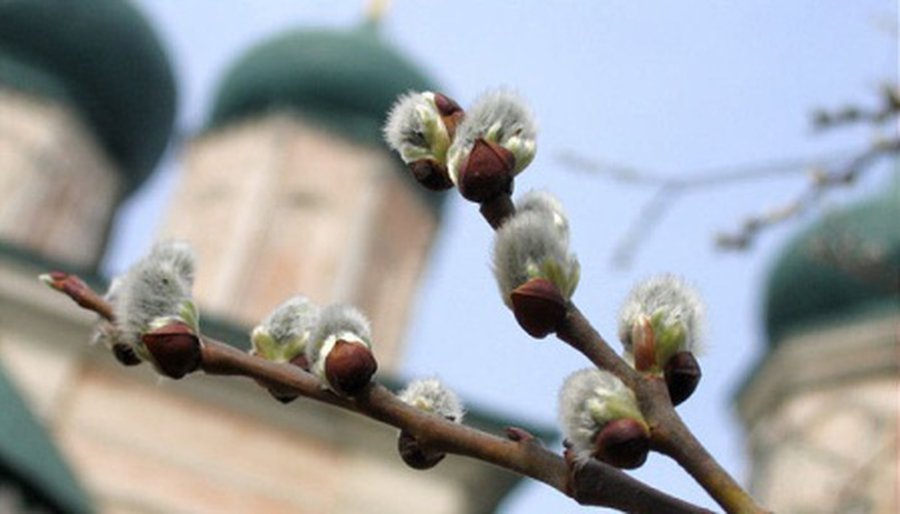 Расписание богослужений - В Висагинасе