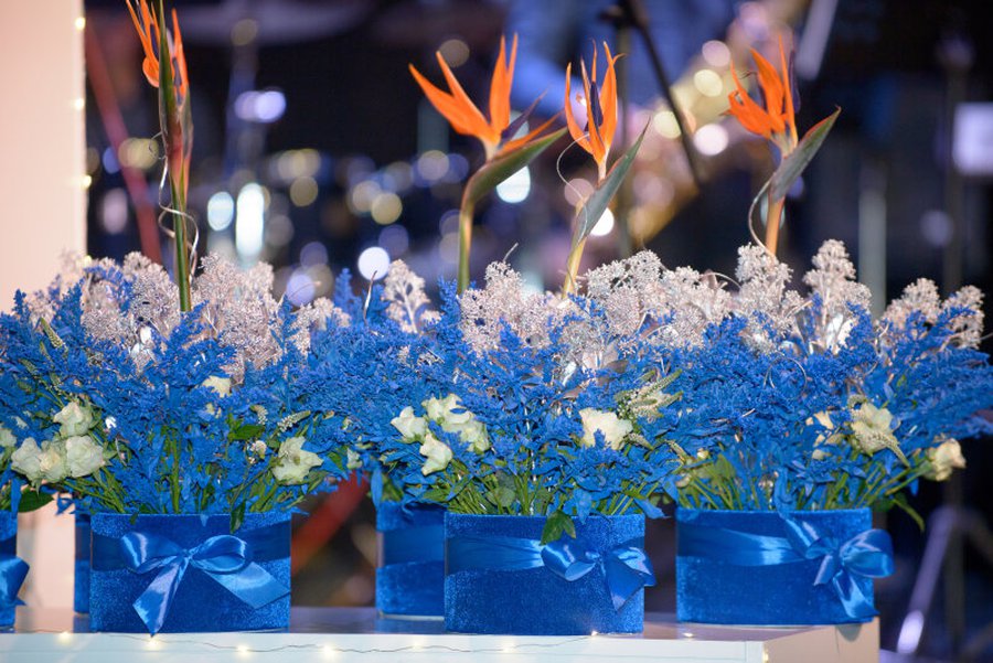 «Мой город - Висагинас» - Висагинас и висагинцы