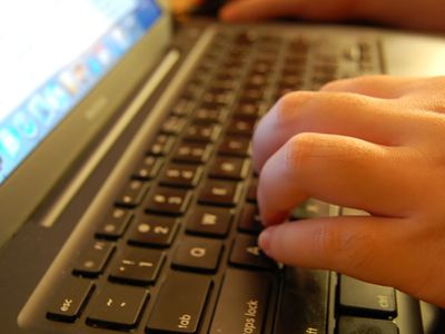 Правящие предлагают узаконить голосование по интернету в Литве - Литва и страны Балтии