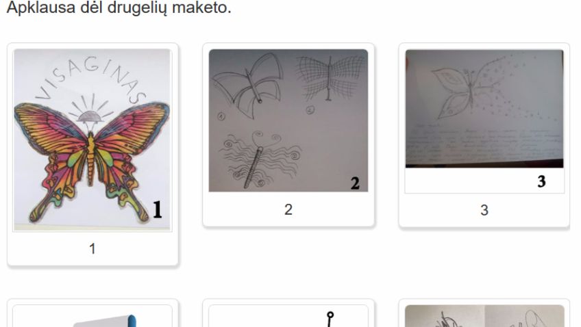 Приглашение на обсуждение проекта «Найди бабочку в Висагинасе»