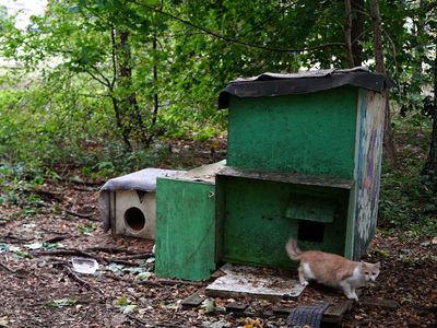 Laida "Savaitės kontūrai" 2025-10-08 - Visagine