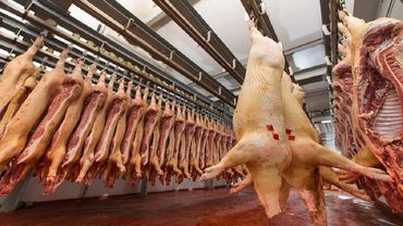 В ближайшее время должна состоятся встреча министров сельского хозяйства Польши и Литвы по вопросу импорта свинины
