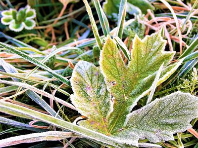 Прогноз на неделю: похолодает, возможен даже снег - Литва и страны Балтии