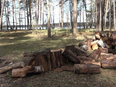 Владельцам собак отведено место у озера для семейного отдыха со своими питомцами (видео) - В Висагинасе