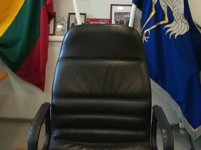 За пост мэра продолжат бороться Э. Галагуз и Д. Штраупайте - В Висагинасе