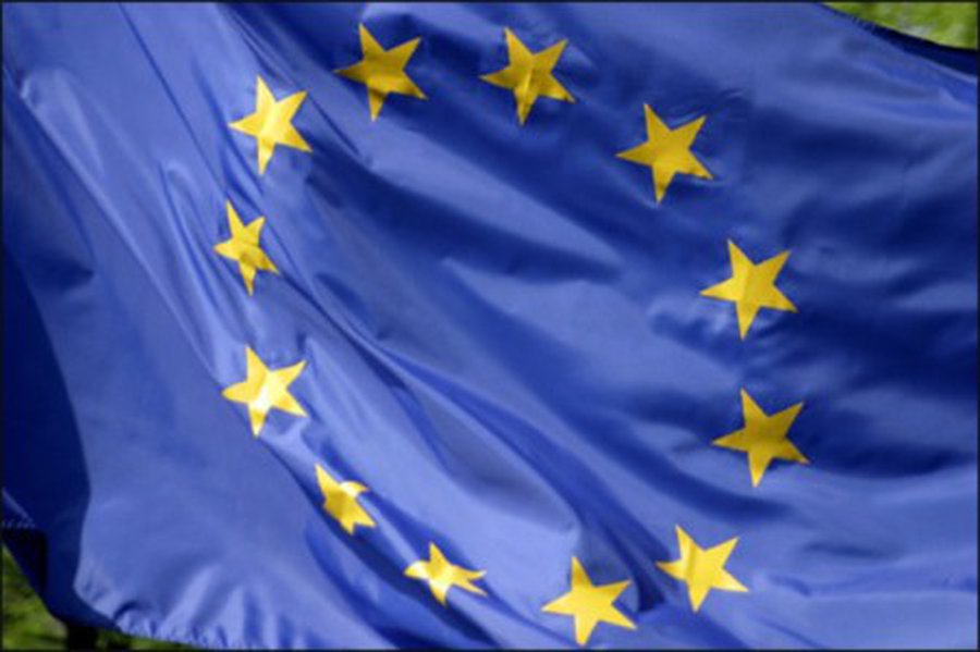 Президент Литвы: В сотрудничестве с ЕС мы достигли большего прогресса в энергетике - Энергетика