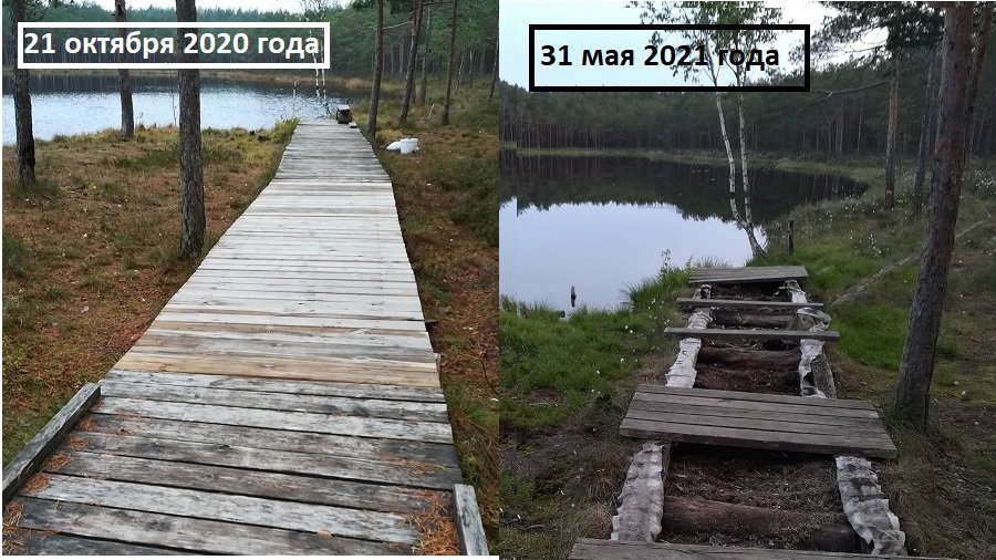 Неприятие прекрасного: на озере Кукуйже снова разрушена часть деревянной тропы (фотогалерея) - В Висагинасе