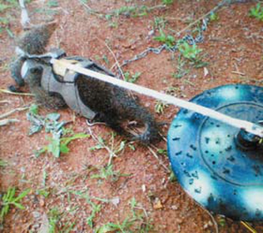 Наука и жизнь: Бюро иностранной научно-технической информации. 2009-01-18 - Наука и здоровье