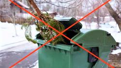 Куда выбросить ёлку после праздников