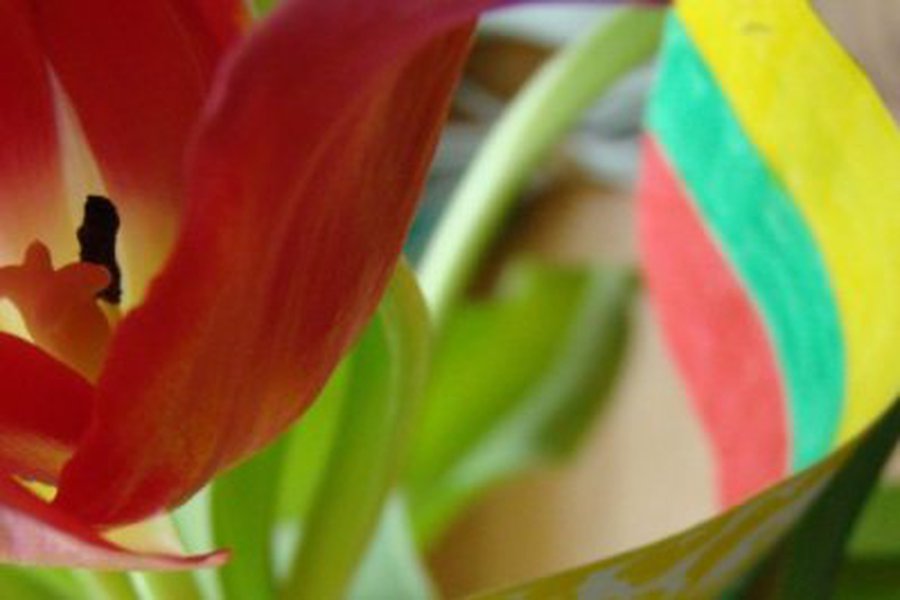 Vasario 16-osios minėjimas viešojoje bibliotekoje - Visagine