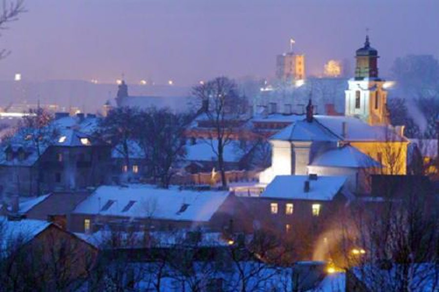 Число жителей Литвы продолжает неуклонно уменьшаться - Литва и страны Балтии