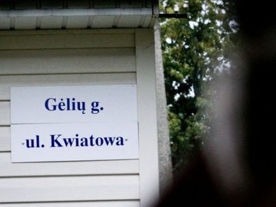 Комиссия по языку предупреждает об угрозе двуязычия  - Литва и страны Балтии