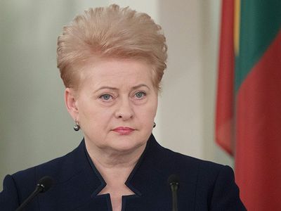 Президент:  Не согласованное с ней предложение по Островецой АЭС -  антиконституционное - Литва и страны Балтии