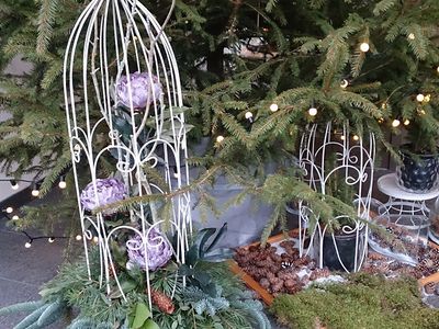 Участник № 30 конкурса «Мой домашний любимец» (Видео) - Конкурсы для читателей