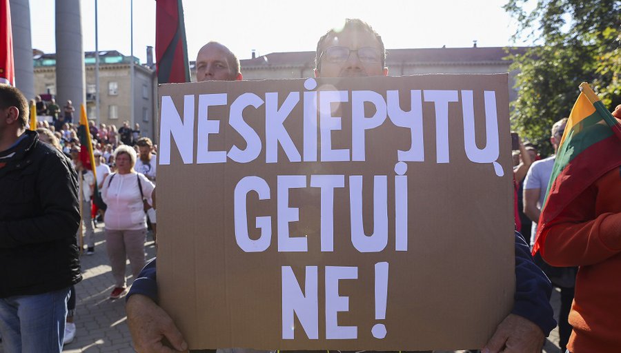 В. Чмилите-Нильсен не планирует встречаться с митингующими 10 сентября - Литва и страны Балтии