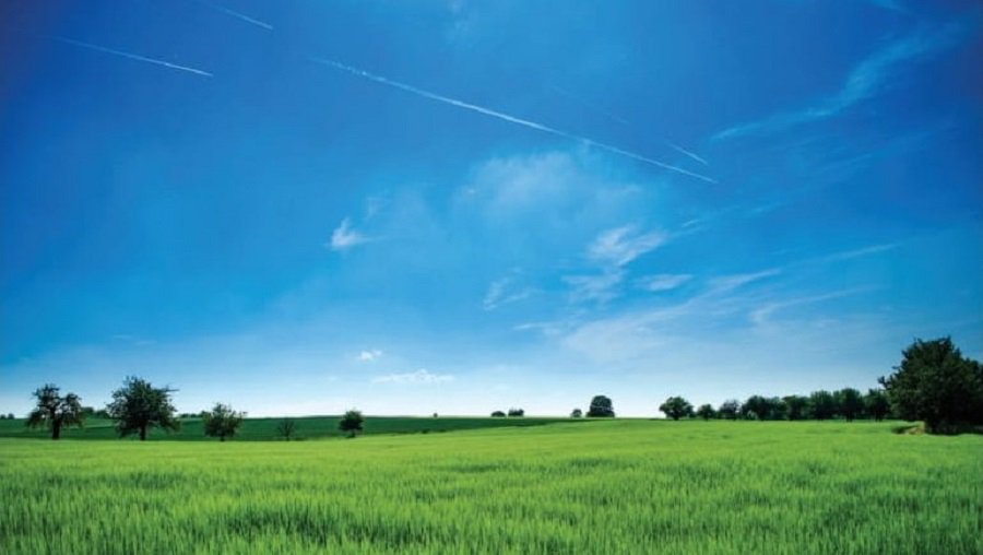 Pratęsiamas valstybinės žemės deklaravimo terminas - Lietuva ir Baltijos šalys