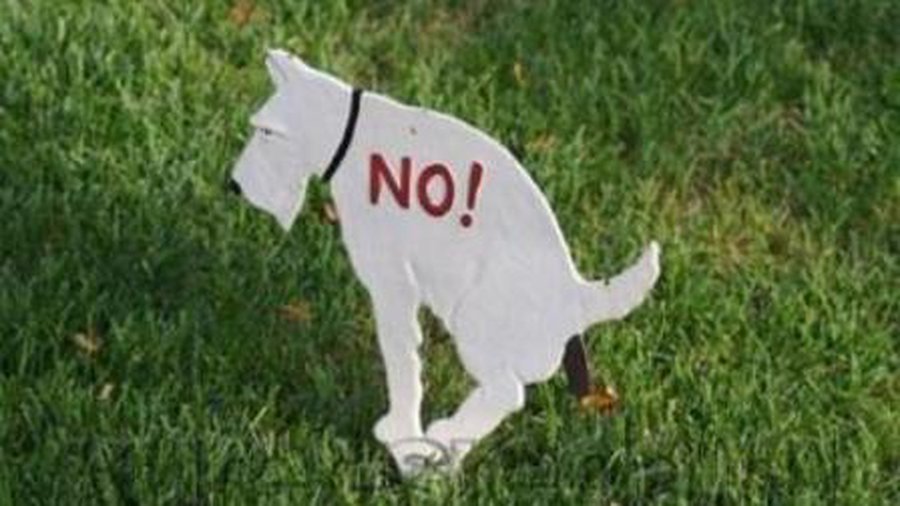 Снег тает, а под снегом ... Как быть? - В Висагинасе