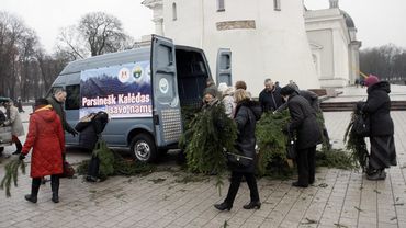 Miškininkai vėl nemokamai dalins eglės šakas – vyks akcija „Parsinešk Kalėdas į savo namus“