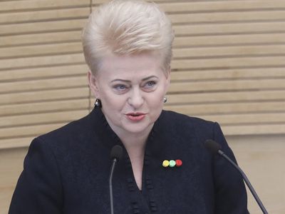 Президент: Политическая повестка дня переполнена вопросами  которые в жизни людей - всего лишь ничтожные мелочи - Литва и страны Балтии