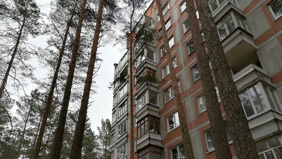 Государственный лес передается самоуправлению - В Висагинасе