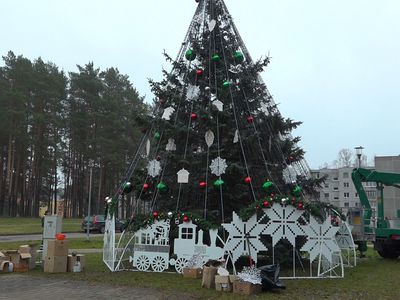 Все о елках и не только. Блиц-опрос висагинцев (видео) - В Висагинасе