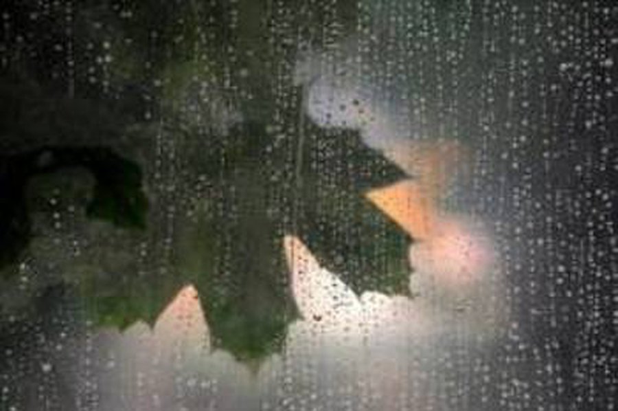   Savaitgalį bus debesuota ir drėgna                                                               - Lietuva ir Baltijos šalys