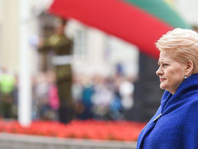 Президент подписала поправки к УК об увеличении в десятки раз штрафов за коррупционные преступления - Литва и страны Балтии