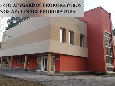 24-летнему мужчине, избившему женщину, будет назначена психиатрическая экспертиза - В Висагинасе