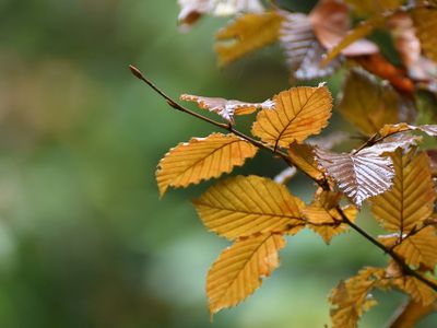 На этой неделе ненадолго вернется теплая погода - Литва и страны Балтии