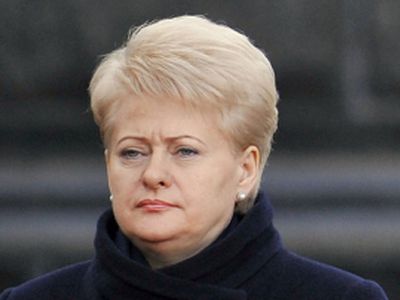 Президент Литвы просит НАТО не бросать республику                                 - Литва и страны Балтии