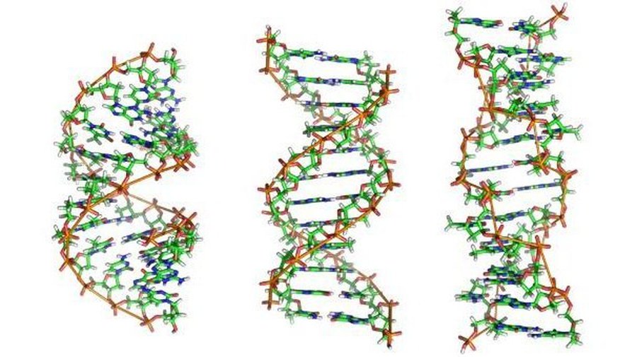 Найден способ избежать передачи генетических заболеваний по наследству  - Наука и здоровье