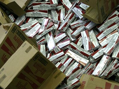 Пограничники задержали контрабандистов с 3 тыс. пачек сигарет - Происшествия и криминал