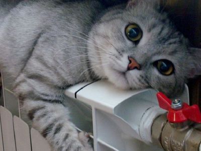 Когда включат отопление в жилых домах - В Висагинасе