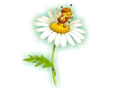 Праздник юных мастеров - В Висагинасе