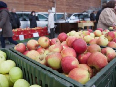 Из-за ошибок власти Литва вернет Брюсселю 15 млн. литов помощи на сельское хозяйство - Литва и страны Балтии