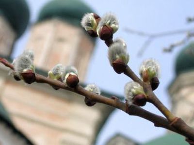 Расписание богослужений                                 - В Висагинасе