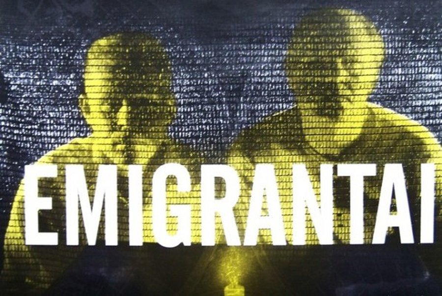 В Голландии началась «охота на гастарбайтеров»                                 - В Мире