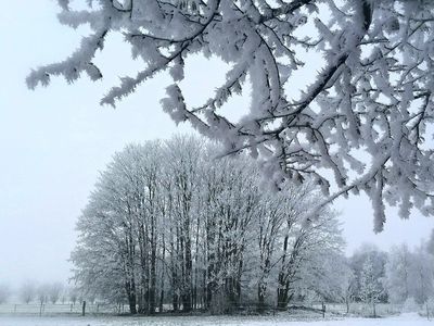 Погода изменится: морозы продержатся всего несколько дней - Литва и страны Балтии