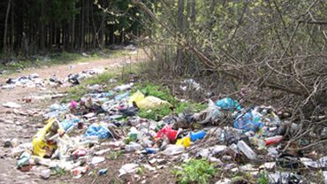 В Вильнюсе - засады на любителей мусорить 