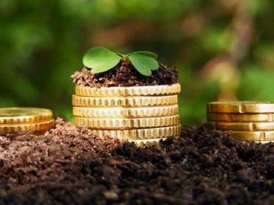 Об уплате налога за аренду государственной земли - В Висагинасе