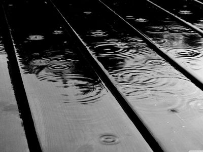 Pavasaris parodys savo nemaloniąją pusę - Lietuva ir Baltijos šalys