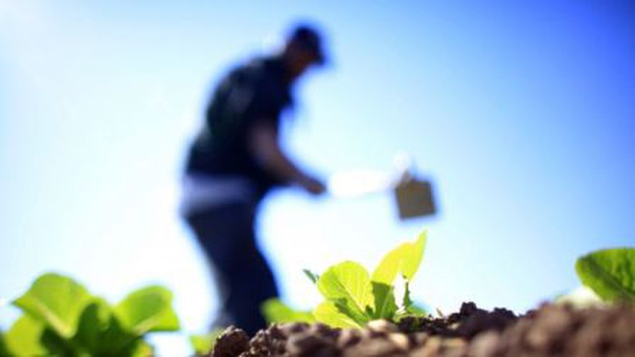 Немцы сняли фильм о жизни латвийских эмигрантов - Литва и страны Балтии