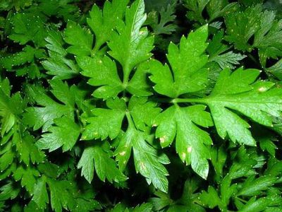 Сводка криминальных происшествий за 16 cентября - Происшествия и криминал