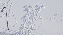 Поздравляем победителя конкурса «Что бы это значило?»