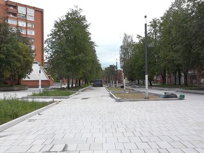 Срок сдачи работ на аллее Седулинос переносится на более поздний - В Висагинасе