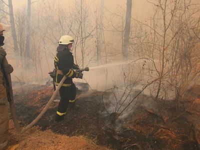Зона в огне. Чернобыльская АЭС 34 года спустя - В Мире