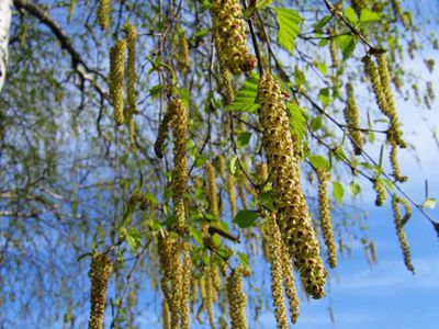 Visagine vaikai lankė liaudies meno ir amatų stovyklą - Visagine