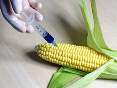 Приглашаем на семинар                                                                                                 - В Висагинасе