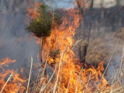 Informuoja Visagino policijos komisariatas - Įvykiai ir kriminalas