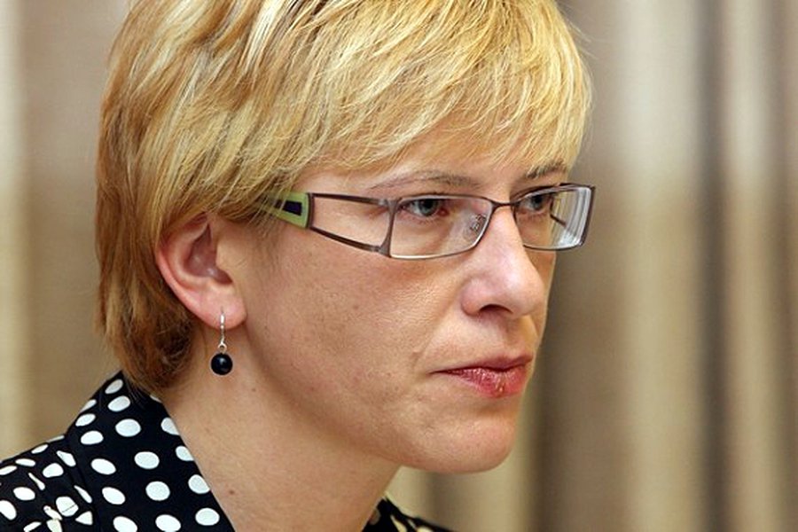 Бюджет Литвы нужно урезать еще больше — министр финансов - Литва и страны Балтии